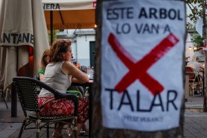 Lee más sobre el artículo El Ayuntamiento de Madrid talará 30 árboles de la plaza Santa Ana, desoyendo a sus vecinas y vecinos