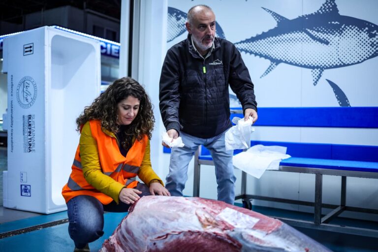 Enma Mercamadrid